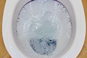 Read more about the article Be mindful of what you flush