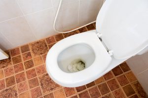 Read more about the article Repeated toilet clogging forces police to make unusual request