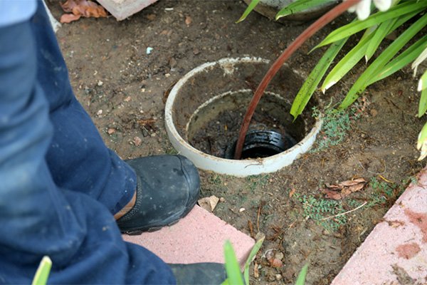 Read more about the article Don’t ignore these warning signs of a clogged sewer line