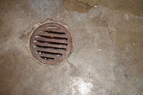 Sewer Line Service