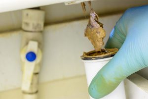 Warning signs of plumbing problems in your home