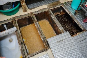 Read more about the article Grease trap violation may force mayor to close a local restaurant